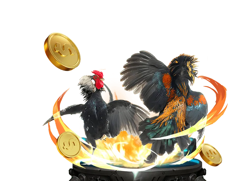 Tin tức g666 win về cá cược bóng đá World Cup 2026